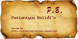 Pattantyus Belián névjegykártya